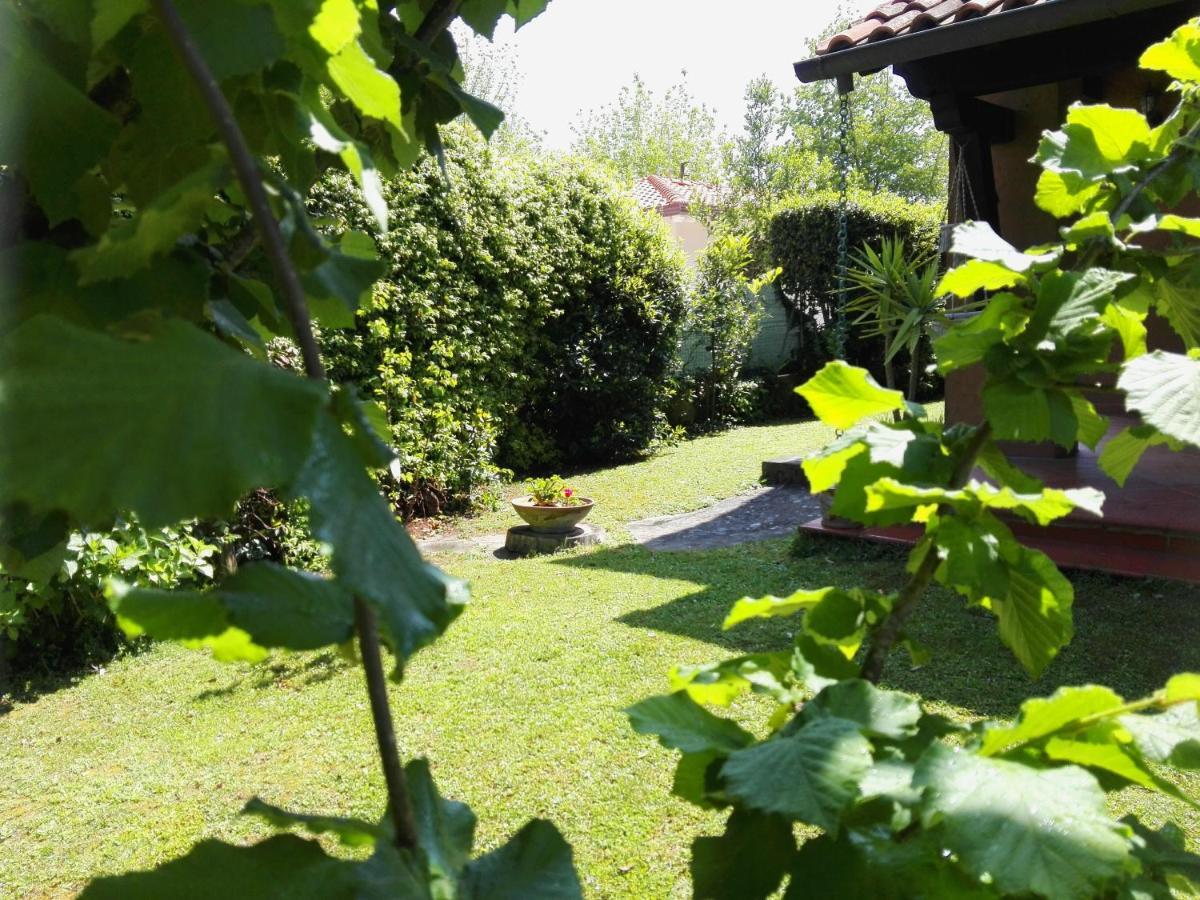 Il Gelsomino Vila Forte dei Marmi Exterior foto